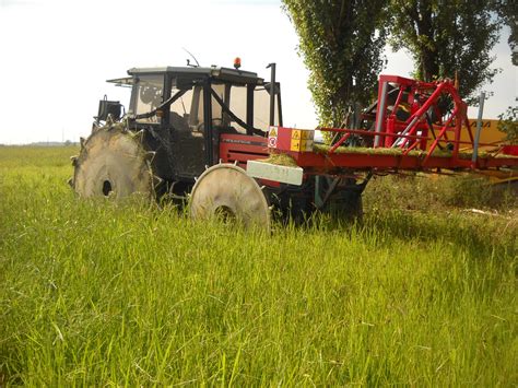 MENEGUZZO Macchine Agricole Per Coltivazioni Biologiche E Cipolla Da Seme