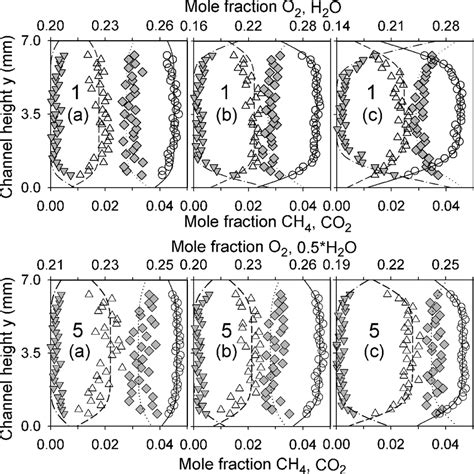 Comparisons Between Raman Measured Symbols And Numerically Predicted