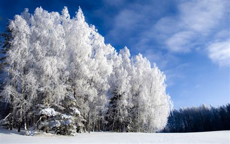 🔥 Download Winter Landscape Hd Desktop Wallpaper By Stevenriley Hd