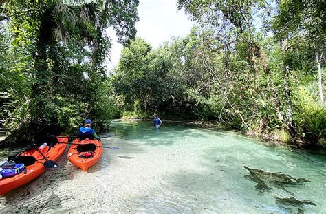 Kayaking Rock Springs Kelly Park Jacksonville Beach Moms