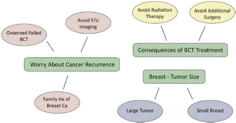 Thematic Map For Mastectomy Participants Bct Indicates Breast