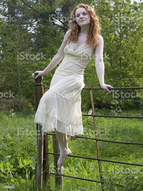 Summer Girl Sitting On Fence Stock Photo Download Image Now Adult