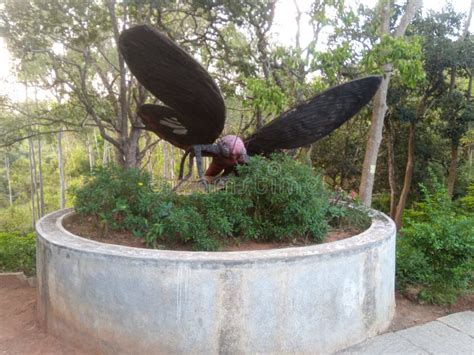 Butterfly Park Bannerghatta National Park And Zoo Bangalore