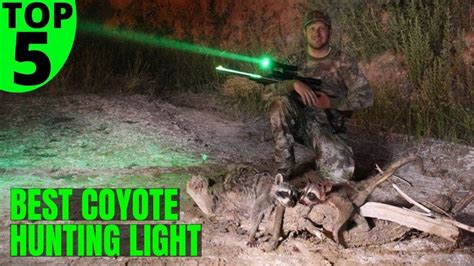 Top 5 Best Coyote Hunting Lights 2021 Complete Buyer S Guide YouTube