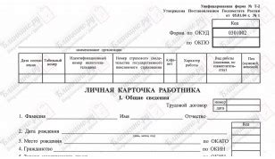 Дополнение к личной карточке Т-2 (Отпуск)