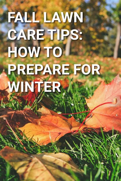 Simple Lawn Care For Fall Artofit