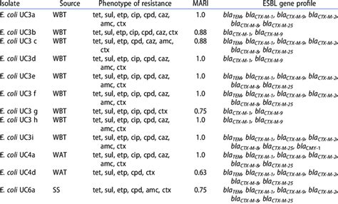 Antibiotic resistance phenotypes and ESBL gene profile of the ...