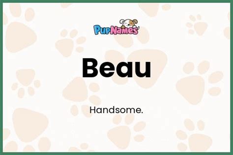 Beau 🐶 - Dog Name Meaning & Popularity | PupNames.com™