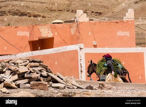 Femme Berbere Maroc Banque De Photographies Et Dimages Haute