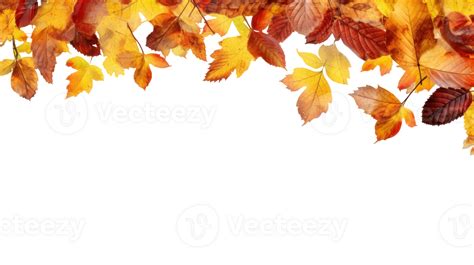 Autumn Leaves Border Isolated Illustration 24689760 Png