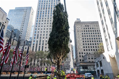 What Time Is The Rockefeller Christmas Tree Lighting Dec 4 NBC