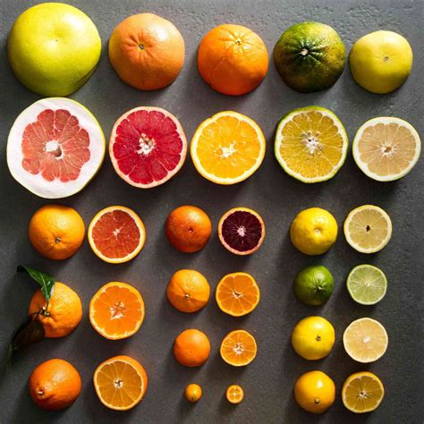 Types Of Oranges List