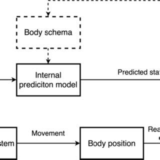 Neurocognitive Model Of The Emergence Of Ownership First The Visual