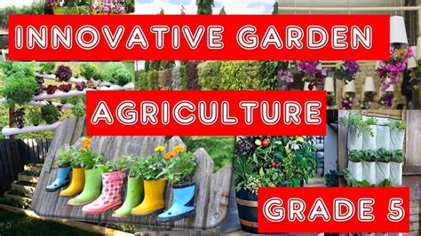 Innovative Gardening Information On The Project Agriculture Grade