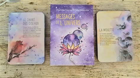 Oracle Messages De L Univers Charlotte Daynes C Lia Melesville Youtube