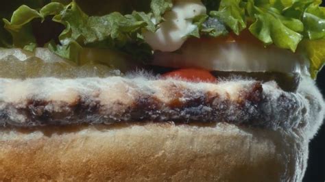 Burger King Launches New Ad Featuring Moldy Whopper Youtube