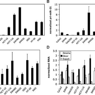 Microrna Mir Expression In Colorectal Cancer Cell Lines The