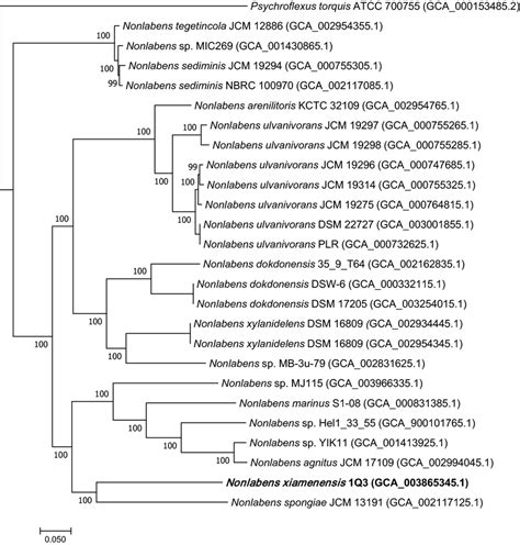 Phylogenomic Tree Constructed Based On A Bacterial Core Gene Set