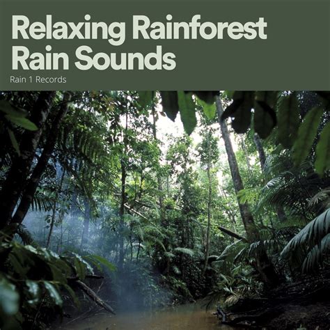 ‎Relaxing Rainforest Rain Sounds by Heavy Rain Sounds & Rainforest ...