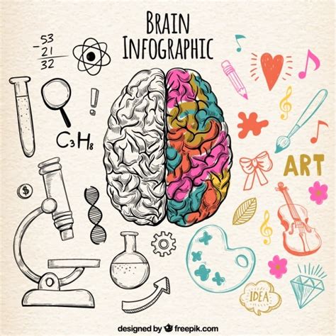 Creative Brain Art