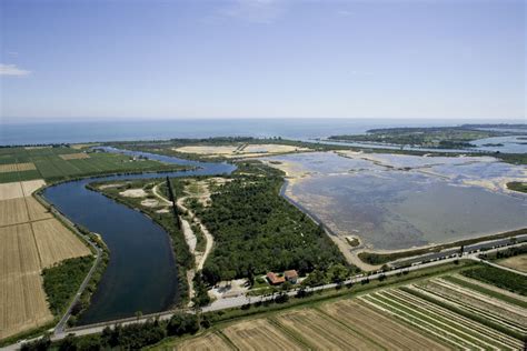 Riserva Naturale Della Valle Cavanata Cosa Vedere A Grado Gorizia