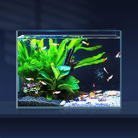 Amazon Koller Products Gallon Aquarium Kit With Led Lighting And