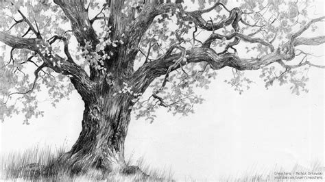 Oak Tree Drawing Amazing Drawing Skill