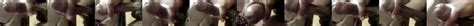Jerkin Off My BBC Nude Pics XHamster