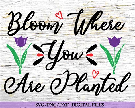 Bloom Where You Are Planted Svg Cut File Etsy