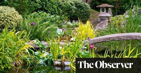 To Rethink Your Garden Learn Japanese Gardening Advice The Guardian