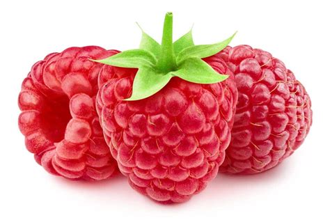 Framboise Recettes Bienfaits Et Vertus De Ce Petit Fruit Rouge