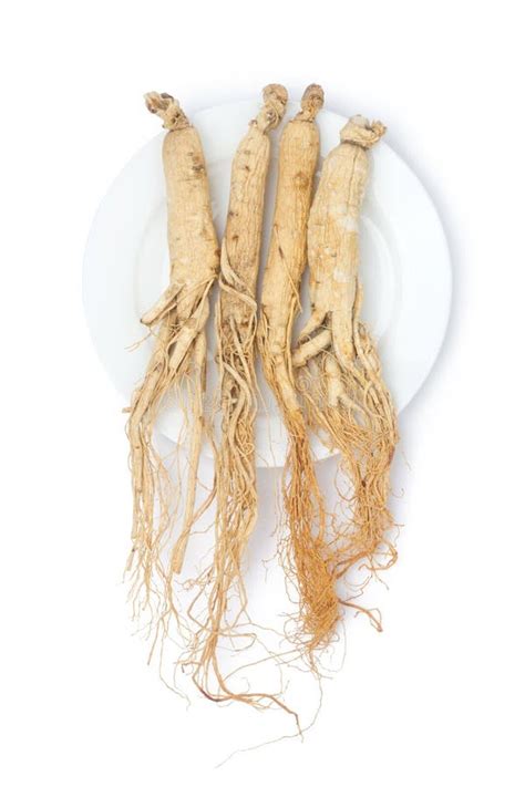 Ginseng Roots Stock Image Image Of Plant Panex Ginseng