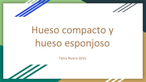 SOLUTION Tania Rivera Ortiz Hueso Compacto Y Hueso Esponjoso Studypool