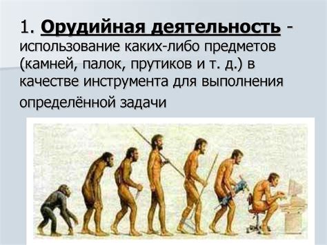 Использование орудий и энергии - online presentation