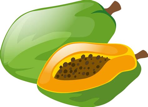 Green Papaya Clipart World