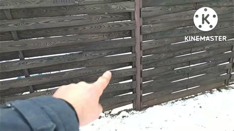 Как выглядит Забор плетёнка через 1.5 года?14 декабря 2022 г. - YouTube