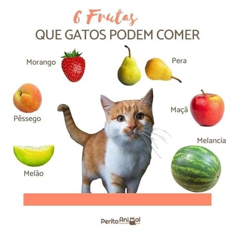 Pin De Tania Maria Guitton Cohen Em Dicas Em Frutas Mel O Pessego