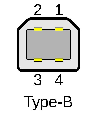 Todos los Tipos de Puertos USB Explicados 