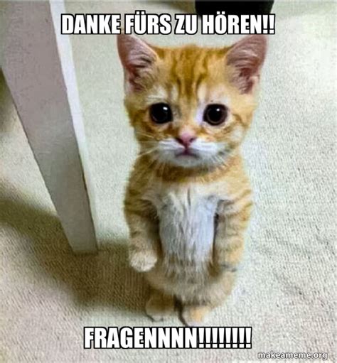 DANKE FÜRS ZU HÖREN FRAGENNNN Cute Cat Standing Meme Generator