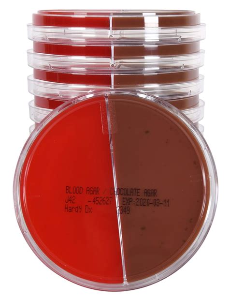 15x100mm Biplate Blood Agar By Hardy Diagnostics 5 Percentchocolate