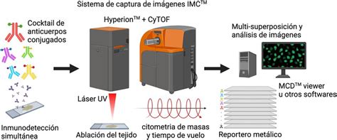 Avances en citometría de masas y aplicabilidad en patología digital