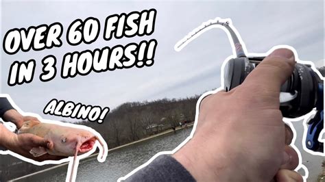 Insane Day Of Fishing At Sky Lake Paylake Nonstop Catfish Action