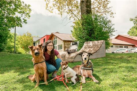 Tiere Tiergest Tzte P Dagogik An Der Schloss Schule Kirchberg