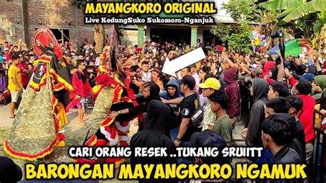 Barongan Ngamuk Di Rusuh Tukang Sruit ‼️ Jaranan Mayangkoro Original