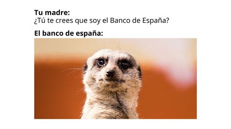 Plantillas De Memes Gratuitas🧓 Descubra O Universo Das Apostas Online