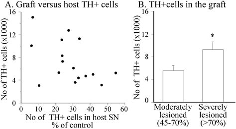 Growth and Functional Efficacy of Intrastriatal Nigral Transplants ... 