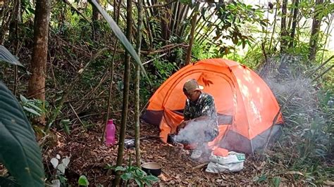 ASMR ALAM LIAR Solo Camping Di Tengah Hutan Menikmati Suara Burung