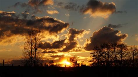 Bildet Landskap Tre Natur Horisont Gren Vinter Sky Anlegg Sol