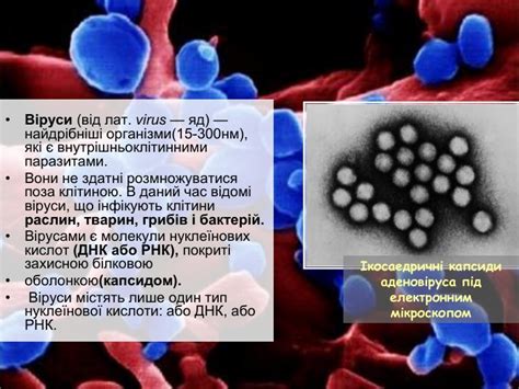 Презентація "Віруси"