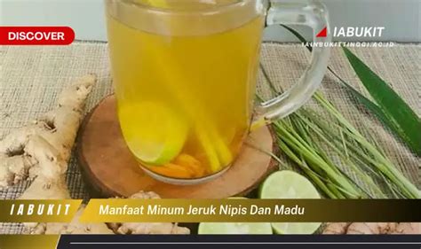 Temukan 7 Manfaat Minum Jeruk Nipis Dan Madu Yang Wajib Kamu Ketahui